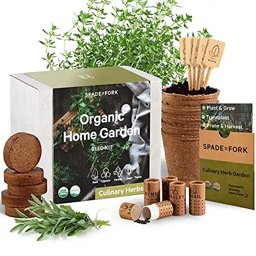 Organic Herb Garden Kit Indoor Certified Organic & Made in USA | Herb Plants for Women and Men, Indoor Herb Garden Starter Kit, Herb Growing Kit Indoor, Plant Growing Kit, Herb Starter Kit...