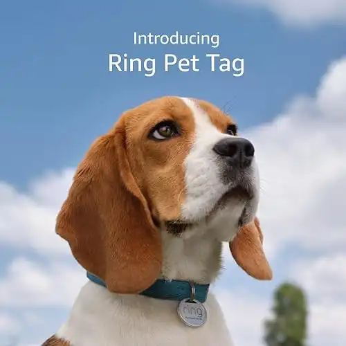 Introducing Ring Pet Tag | Easy-to-use tag with QR code | Real-time scan alerts | Shareable Pet Profile | No subscription or fees