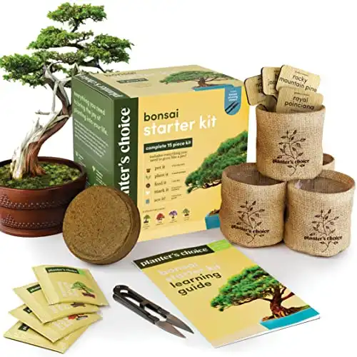 Bonsai Starter Kit - Gardening Gift for Women & Men - Bonsai Tree Growing Garden Crafts Hobby Kits for Adults, Unique DIY Hobbies for Plant Lovers - Unusual Christmas Gifts Ideas - or Gardener Mot...