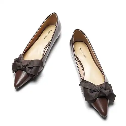 C.Paravano Pointy Bow Flats Comfortable Stylish Shoes for Women Leather Flats Women's Flats for Casual and Office