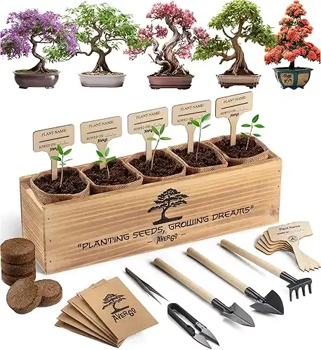 Bonsai Tree Kit 5X Unique Japanese Bonzai Trees | Complete Indoor Bonsai Starter Kit for Growing Bonsai Plants with Tools & Planters Gardening Gifts for Women & Men