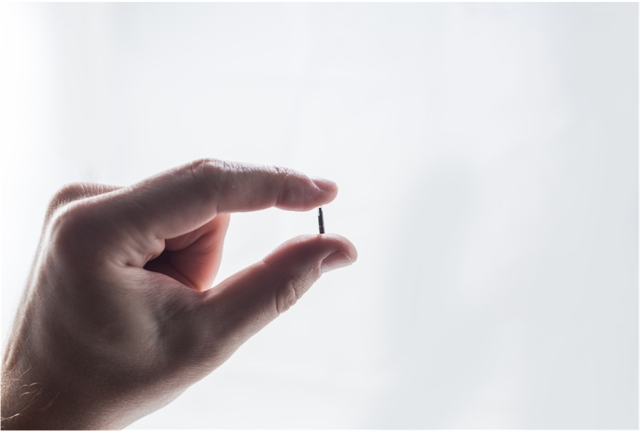 A hand holds a small microchip pinched between the thumb and index finger against a plain white background.