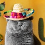 A happy grey cat with closed eyes wears a colorful sombrero against a yellow background adorned with cactus illustrations.
